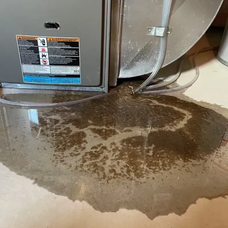 Appliance Leak Cleanup in Elizabeth, CO